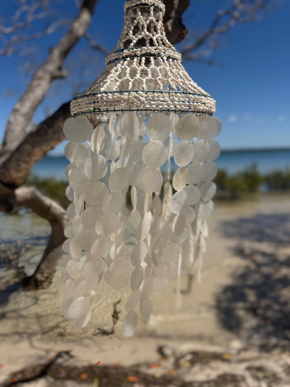 The Capri Shell Chandelier - Small