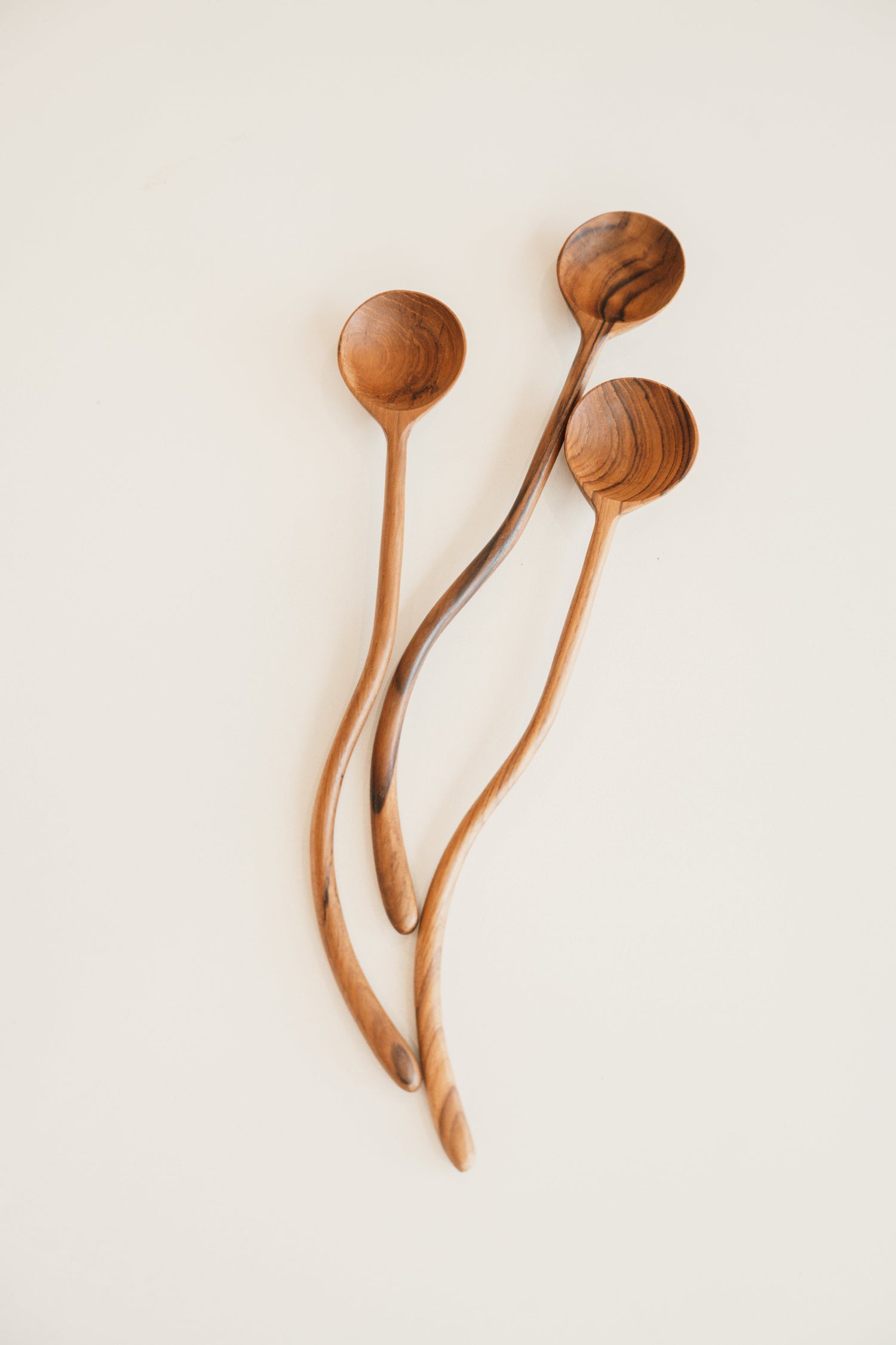 Bamboo