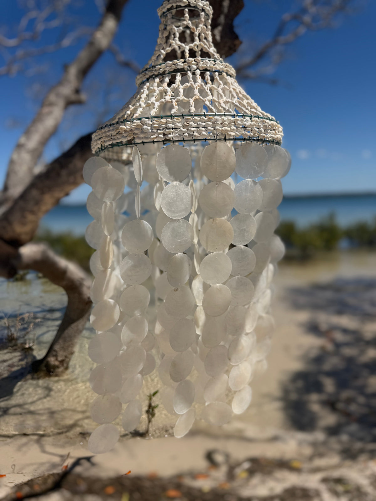 The Capri Shell Chandelier - Small