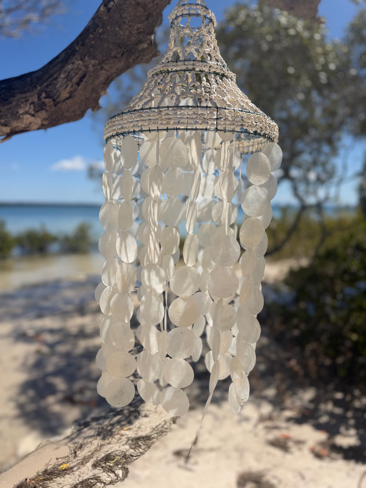 The Capri Shell Chandelier - Small